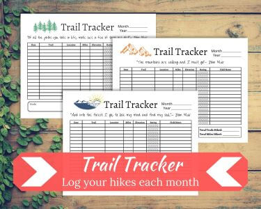 Three Trail Trackers on a wood background